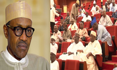 Senate supports President Buhari, dissuades protesters